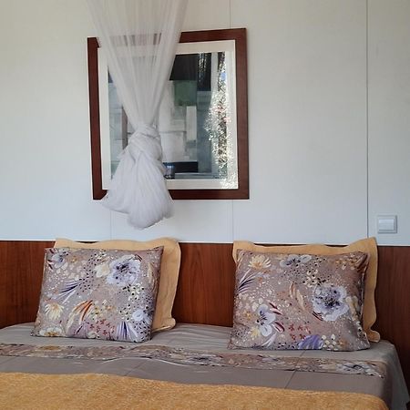 Adore Portugal Bungalow Natureza & Vista De Serra Lousã Zewnętrze zdjęcie