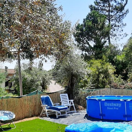 Adore Portugal Bungalow Natureza & Vista De Serra Lousã Zewnętrze zdjęcie