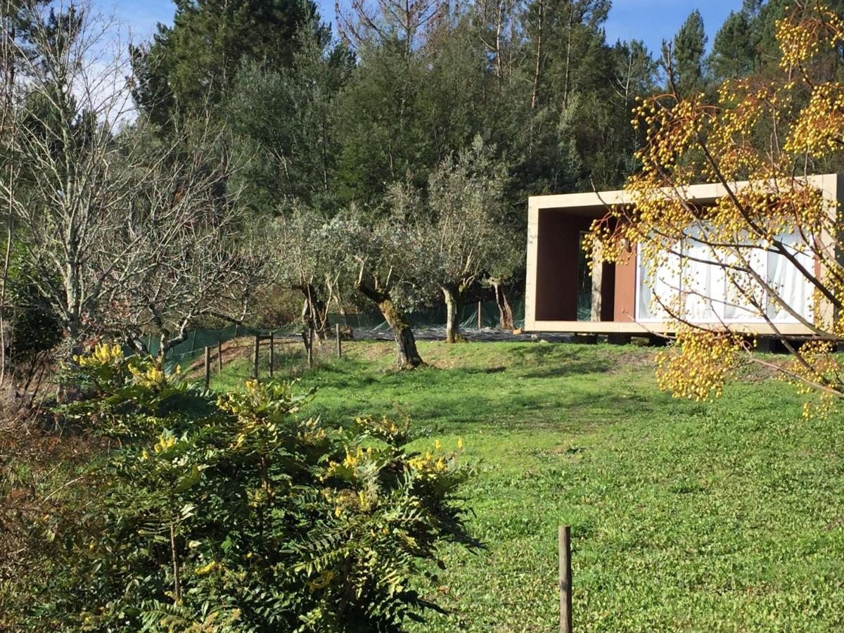 Adore Portugal Bungalow Natureza & Vista De Serra Lousã Zewnętrze zdjęcie