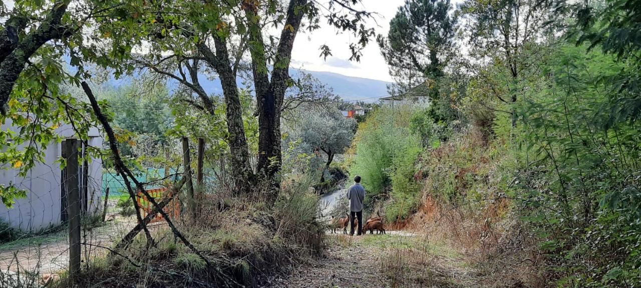 Adore Portugal Bungalow Natureza & Vista De Serra Lousã Zewnętrze zdjęcie