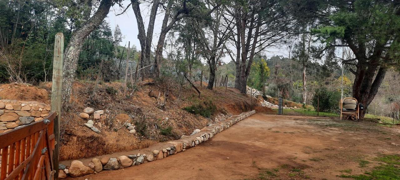 Adore Portugal Bungalow Natureza & Vista De Serra Lousã Zewnętrze zdjęcie
